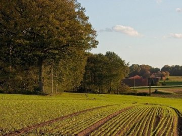 На Волині орендар повернув громаді земельну ділянку вартістю понад 60 мільйонів 