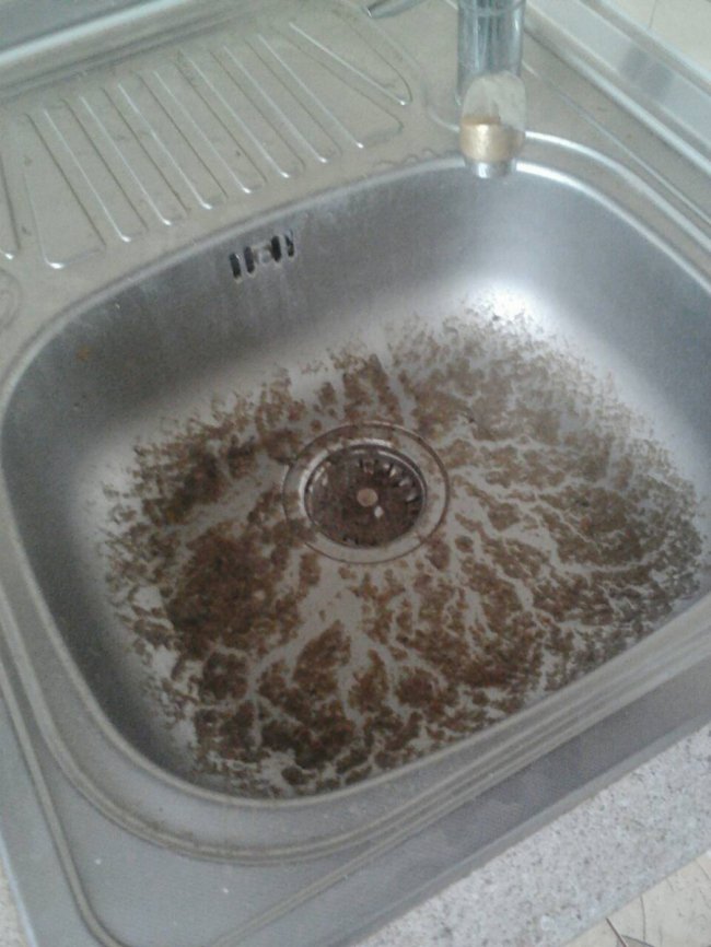 У Луцьку роками затоплює квартиру фекаліями з усього будинку. ФОТО