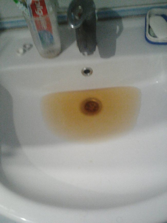 У Луцьку роками затоплює квартиру фекаліями з усього будинку. ФОТО