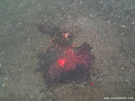 У Луцьку тролейбус наїхав на літню жінку. ФОТО