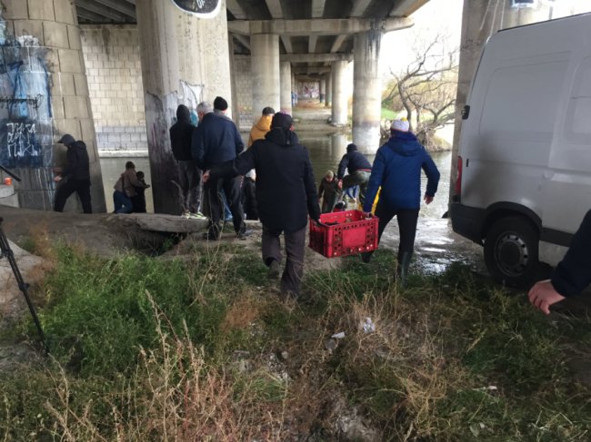 У Стир запустили тонну коропа і щуки. ФОТО