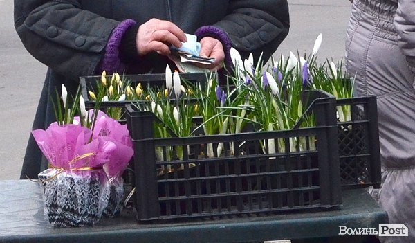 У Луцьку перед 8 Березня квіти подорожчали вдвічі