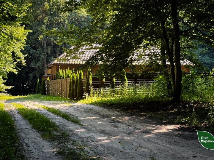 У лісництвах Волині знайшли незаконні забудови