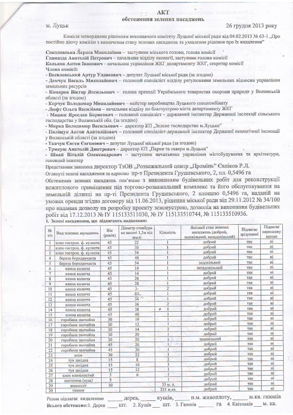 У Луцьку стартувала реконструкція «Променя»: зрізають ялинки. ФОТО. ВІДЕО. ДОКУМЕНТИ