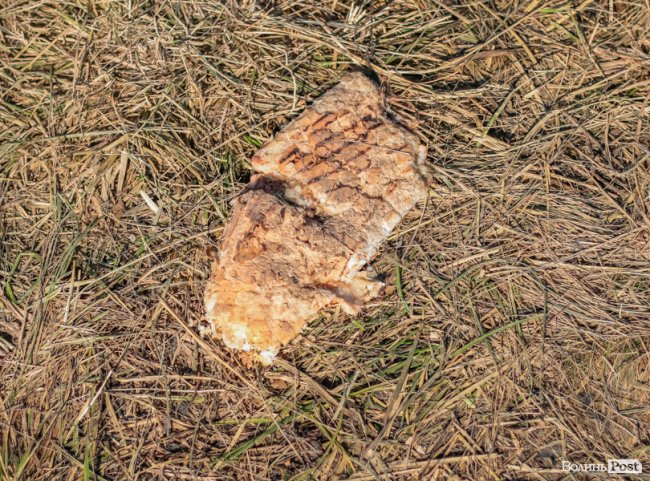 Ранок після фестивалю «Бандерштат». ФОТО