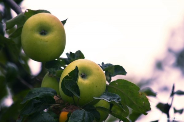 Фотопогляд: Луцьк вздовж колії
