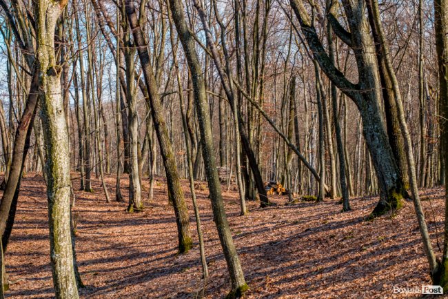 Перший день весни у «волинській Швейцарії». ФОТОРЕПОРТАЖ