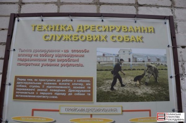 Луцькі гімназисти зібрали кошти для службових собак. ФОТО