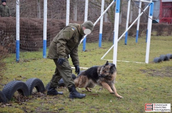 Луцькі гімназисти зібрали кошти для службових собак. ФОТО