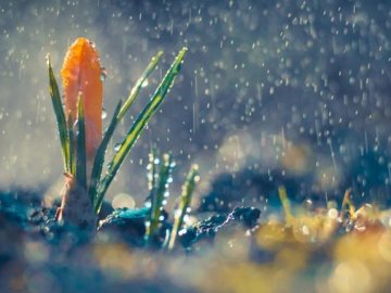 Погода в Луцьку та Волинській області на четвер, 4 березня