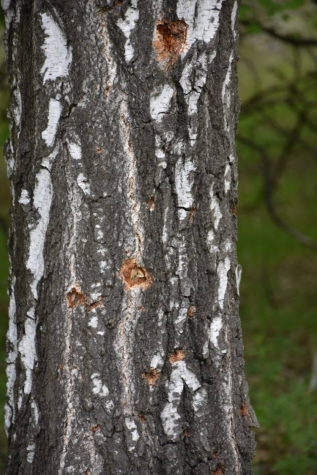 Волинські військові показали наслідок нічного обстрілу