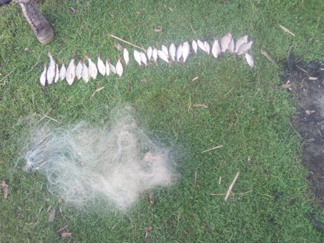 На Волині ловили на гарячому рибалок-браконьєрів. ФОТО