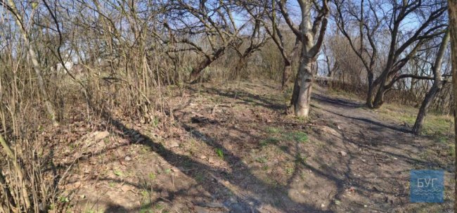 Купи сміття та шприців: в містечку на Волині прибрали територію біля школи. ФОТО