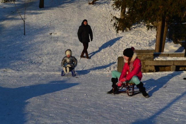 У Луцьку діти влаштували перегони на санчатах. ФОТО