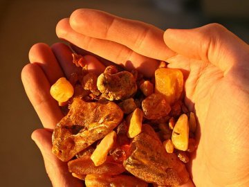 У волинянина знайшли 12 кілограмів бурштину, який він незаконно зберігав вдома