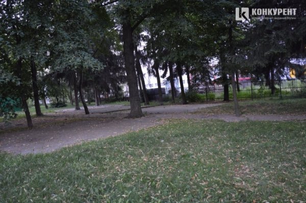 Парковка в Луцьку біля басейну: якою вона буде. ФОТО