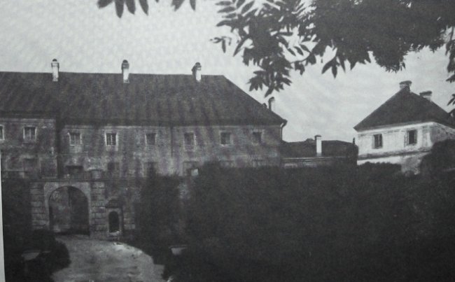 Олицька резиденція на унікальних ретрофото