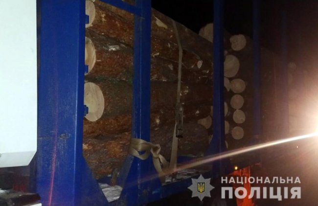 На Волині затримали водія з нелегальною деревиною. ФОТО