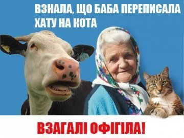 Бабуся, яка переписала хату на кота, – росіянка і кота немає. ФОТО