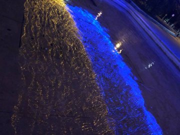 Луцький парк прикрасили патріотичною ілюмінацією. ФОТО