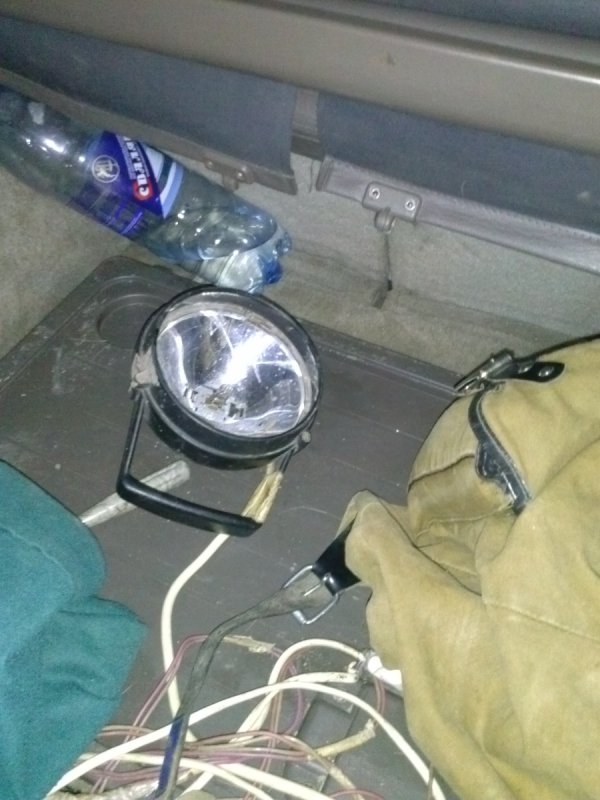 На Волині затримали браконьєрів з тушею оленя. ФОТО