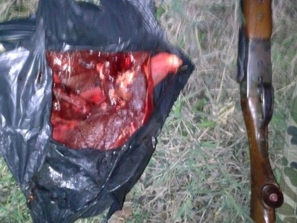 На Волині затримали браконьєрів з тушею оленя. ФОТО