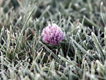 Синоптики попередили українців про заморозки