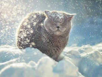 Синоптик розповів, чи чекати українцям аномальних морозів у лютому