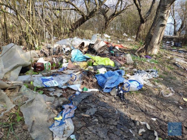 Купи сміття та шприців: в містечку на Волині прибрали територію біля школи. ФОТО