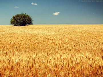 27 липня – яке сьогодні свято та що не можна робити в цей день