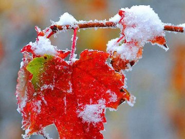Погода у Луцьку та Волинській області на завтра, 18 листопада
