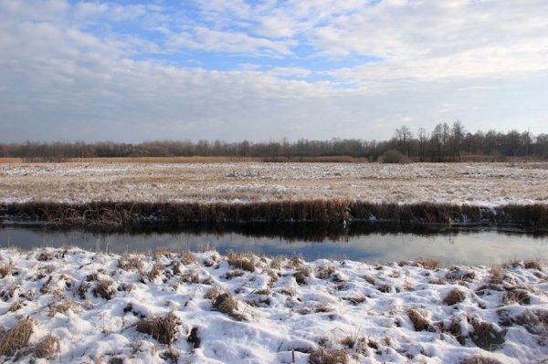 Красиві фото зими у волинському Поліссі 