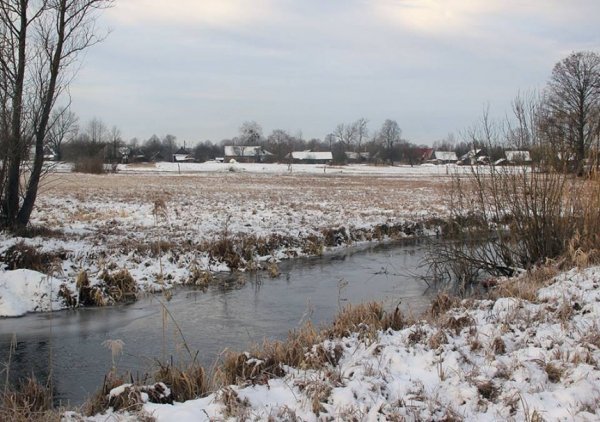 Красиві фото зими у волинському Поліссі 