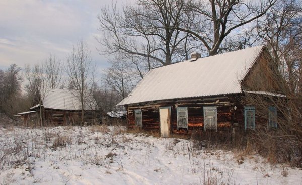 Красиві фото зими у волинському Поліссі 