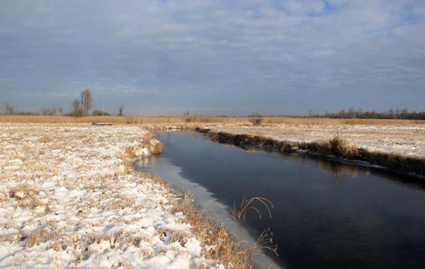 Красиві фото зими у волинському Поліссі 