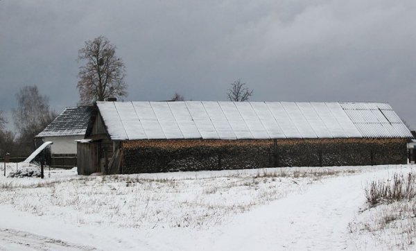Красиві фото зими у волинському Поліссі 