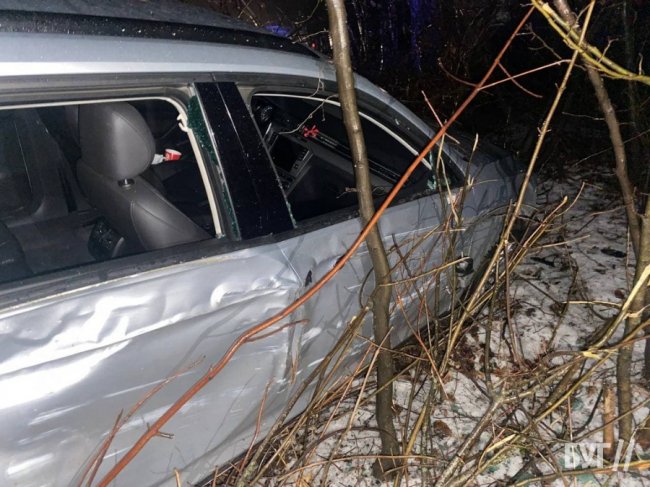 На Волині водійка злетіла з дороги і заїхала у хащі. ФОТО