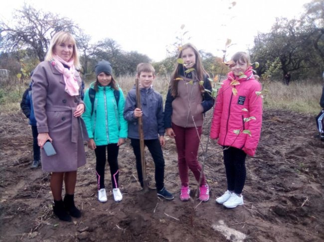 На Любомльщині учні озеленили шкільні двори. ФОТО