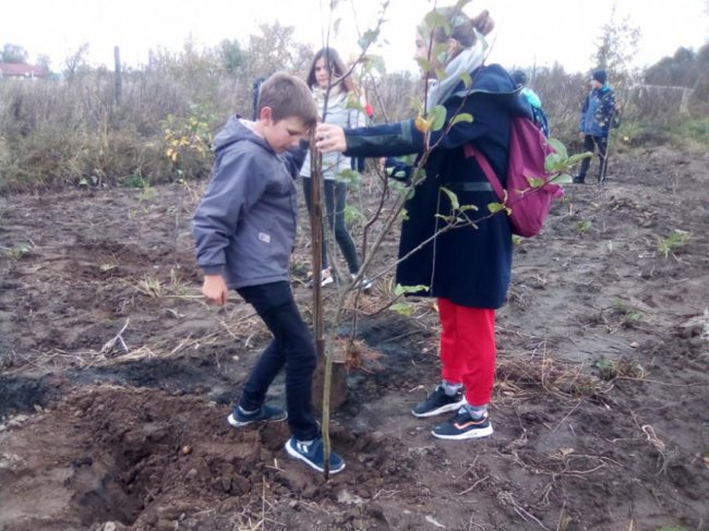 На Любомльщині учні озеленили шкільні двори. ФОТО