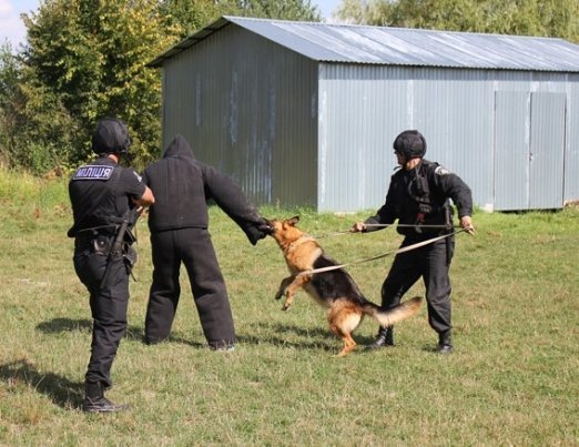 «Беркутівці» влаштували шоу в дитячому таборі. ФОТО