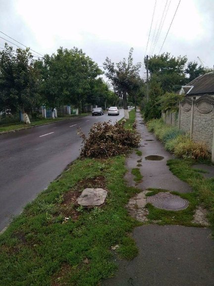  Лучан, які викидають «заборонені» речі в контейнери, штрафуватимуть