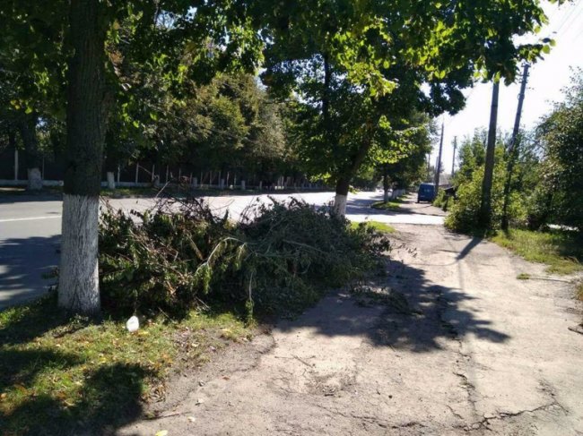  Лучан, які викидають «заборонені» речі в контейнери, штрафуватимуть