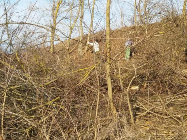 У селі Луцького району влаштували толоку, щоби посадити ліс