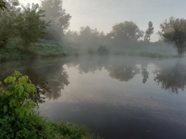 У селі Луцького району влаштували толоку, щоби посадити ліс