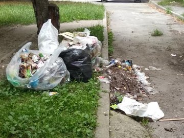 «Немає сил на це дивитися»: луцький двір засипали сміттям. ФОТО