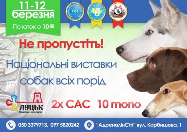 Куди піти у вихідні: 10-12 березня