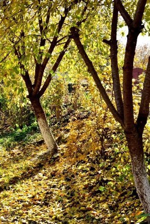 Луцьк осінній: краса на фото