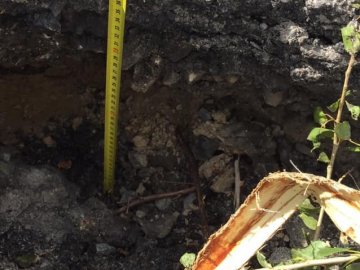 Величезне провалля на волинській трасі утворилося через бобрів і дощі