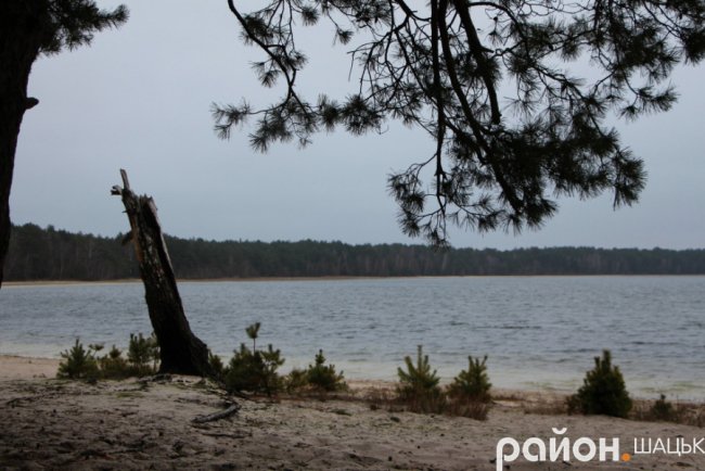 Звідки на волинському озері з'явилася грузинська Піцунда