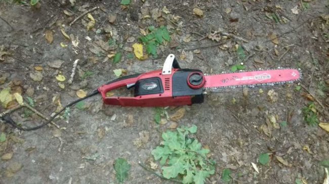 На Волині знову зловили «чорних лісорубів». ФОТО